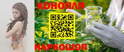 крисы Моздок