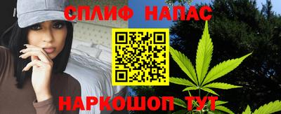 крисы Моздок