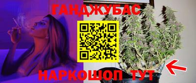 крисы Моздок