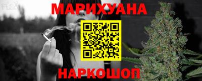 крисы Моздок