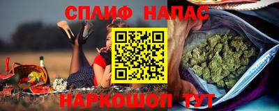 крисы Моздок