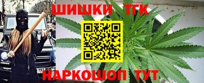тгк Можга