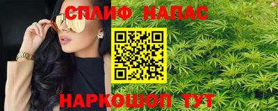 крисы Моздок