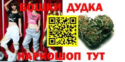 крисы Моздок