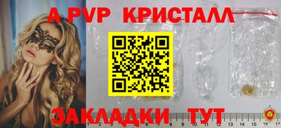 крисы Моздок