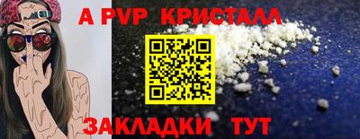 крисы Моздок