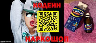 крисы Моздок
