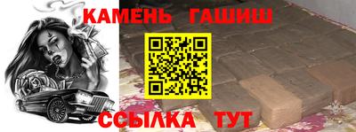 крисы Моздок
