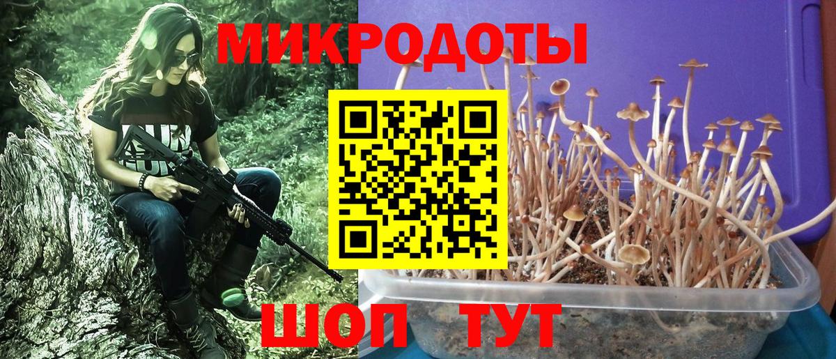 Галлюциногенные грибы ЛСД Уварово